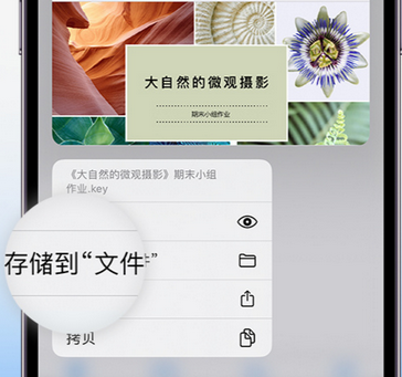 黔江apple维修中心分享iPhone文件应用中存储和找到下载文件