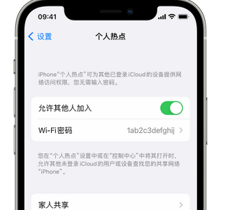 黔江apple服务站点分享iPhone上个人热点丢失了怎么办