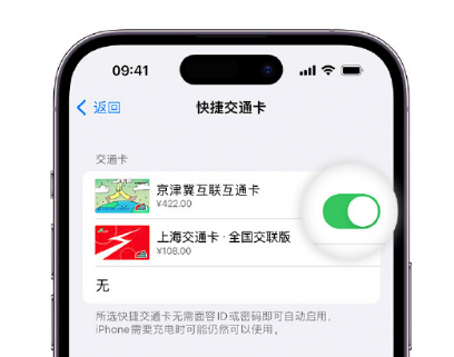 黔江apple维修点分享iPhone上更换Apple Pay快捷交通卡手绘卡面 