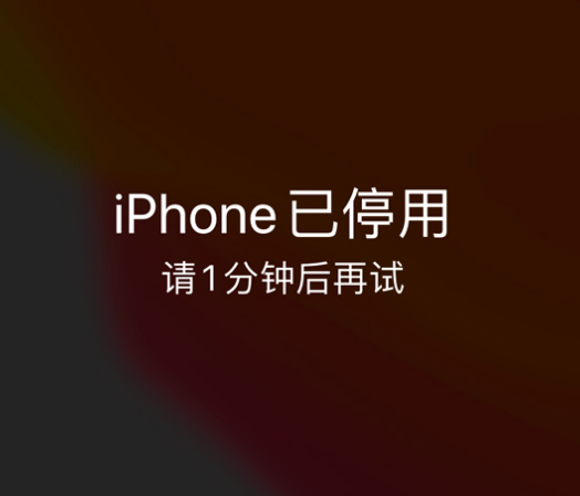 黔江苹果手机维修分享:iPhone 显示“不可用”或“已停用”怎么办？还能保留数据吗？ 