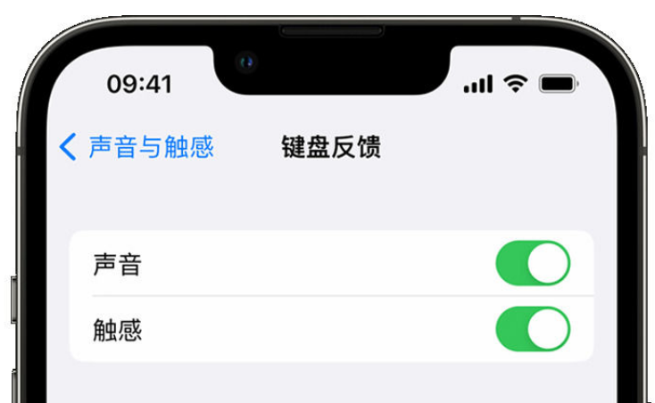 黔江苹果手机维修分享iPhone 14触感键盘使用方法 