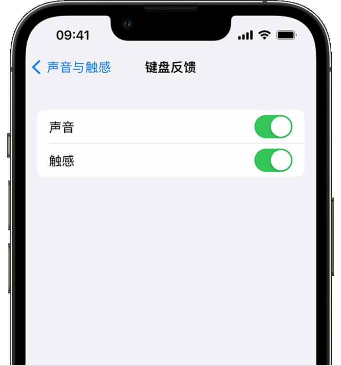 黔江苹果14维修店分享如何在 iPhone 14 机型中使用触感键盘 