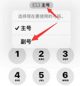 黔江苹果14维修店分享iPhone 14 Pro Max使用副卡打电话的方法 