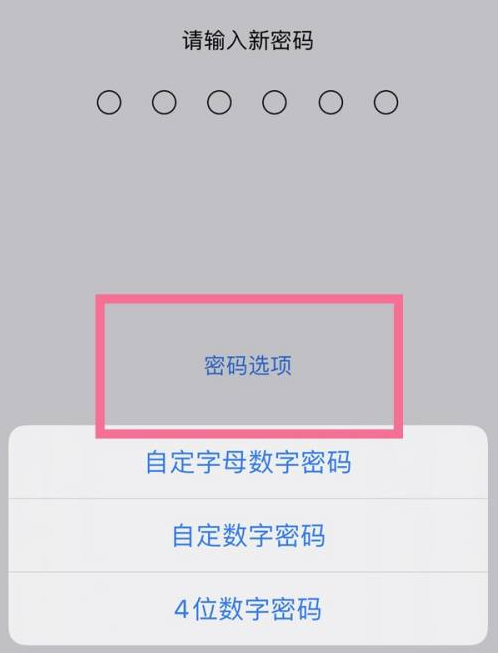 黔江苹果14维修分享iPhone 14plus设置密码的方法 