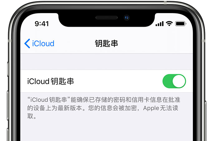 黔江苹果手机维修分享在 iPhone 上开启 iCloud 钥匙串之后会储存哪些信息 