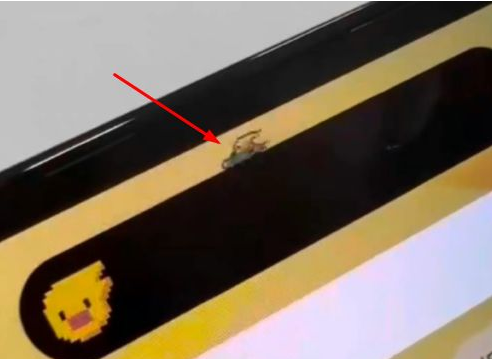 黔江苹果14维修分享iPhone 14 Pro Max灵动岛怎么养宠物 