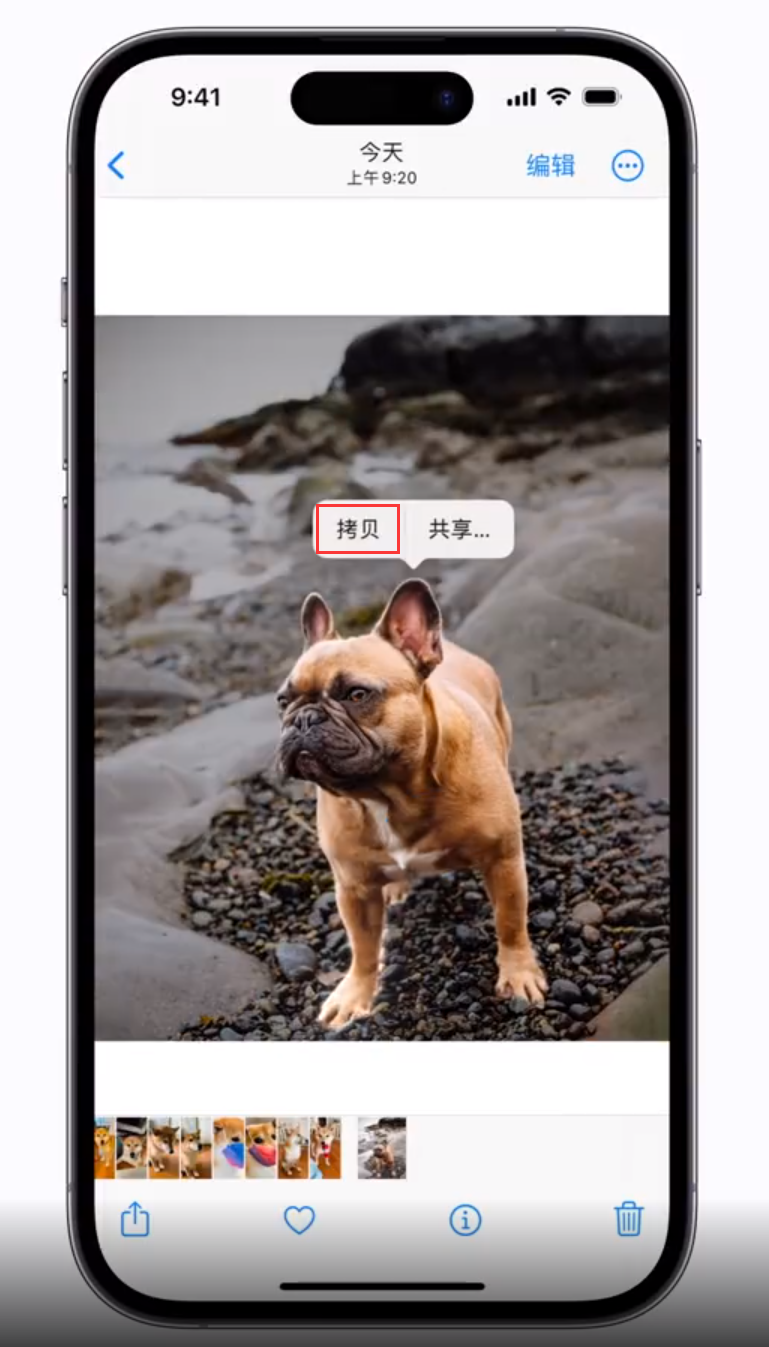 黔江苹果手机维修分享 iOS 16 自带一键抠图功能 